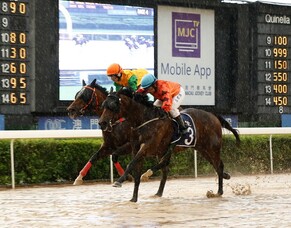 Moore aiming high with Sport Genius