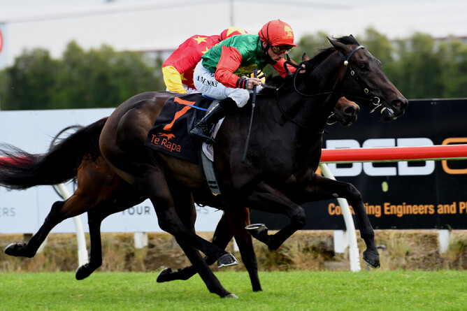 Pareanui Bay will contest the Listed Trevor & Corallie Eagle Memorial 3YO (1500m) at Te Aroha on Saturday. - Photo: Kenton Wright, Race Images