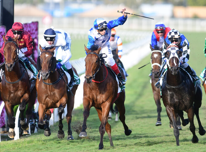 The Bostonian will attempt to gain a spot in the A$14million The Everest (1200m) when he lines-up at Caulfield on Saturday. - Grant Peters