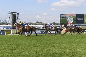 Trelawney-bred stars at Rosehill
