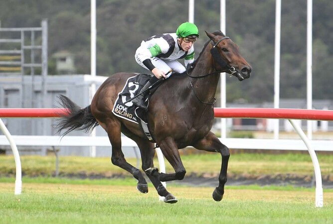 Witz End will contest the Gr.2 Life Direct Wellington Guineas (1400m) at Trentham on Saturday.   - Photo: Peter Rubery (Race Images Palmerston North)