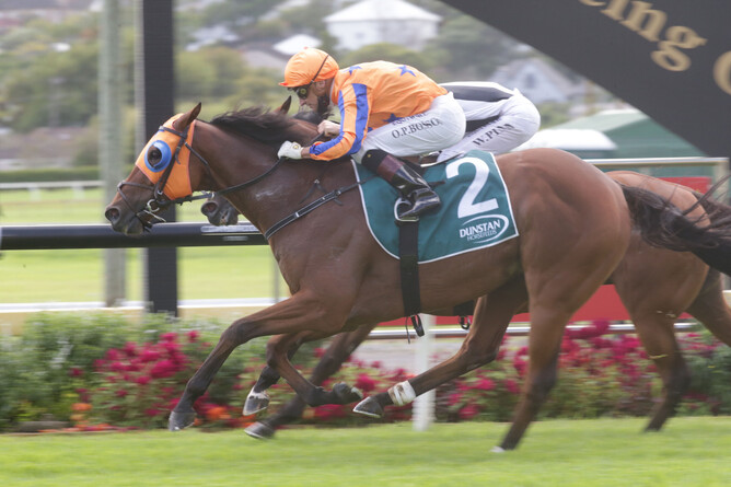 Prise De Fer will contest the Gr.1 Rydges Wellington Captain Cook Stakes (1600m) at Te Rapa on Saturday. - Photo: Trish Dunell