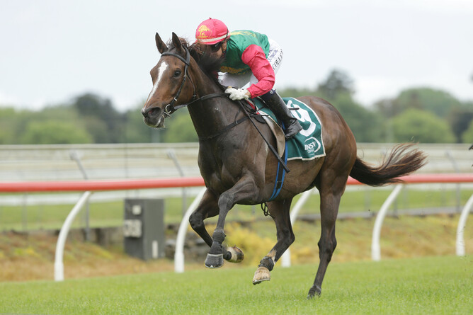 Igraine received a Group One pedigree update over the weekend. Photo: Trish Dunell