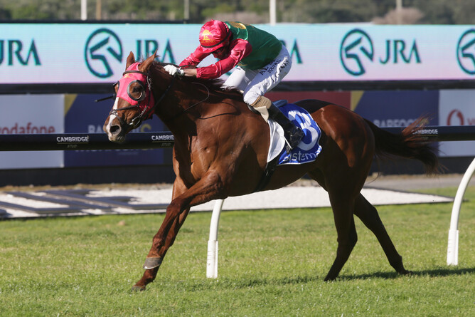 Two Illicit will have a three-start Queensland campaign. Photo: Trish Dunell