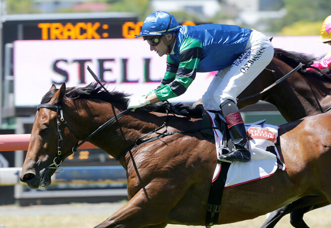 Sultan of Swing is off for a well-deserved break - Trish Dunell