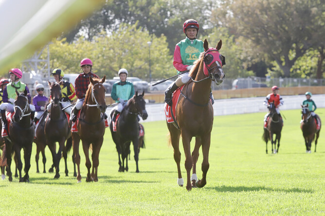 Two Illicit pleased connections with her trial at Taupo on Wednesday. Photo: Trish Dunell