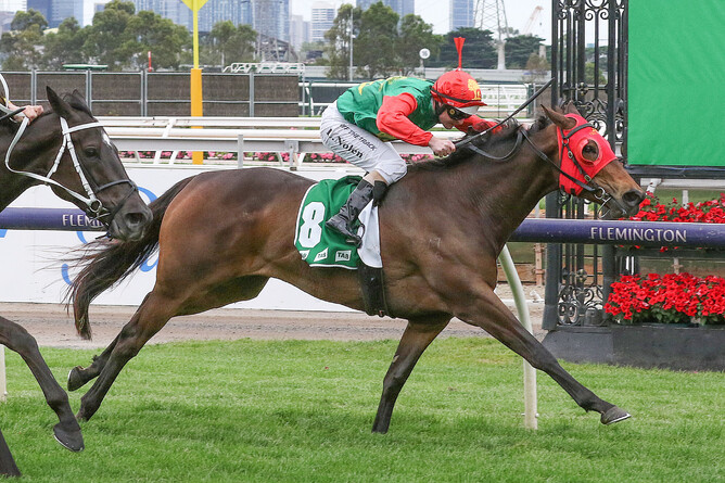 Luke Nolen guides Zayydani to victory in the Gr.2 Matriarch Stakes (2000m) at Flemington. - Photo: Bruno Cannatelli