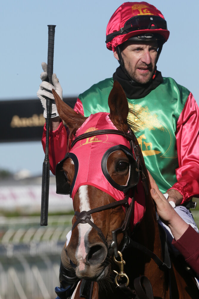 Jockey Leith Innes aboard Two Illicit. Photo: Trish Dunell