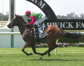 Juan Diva scores Warwick Farm win
