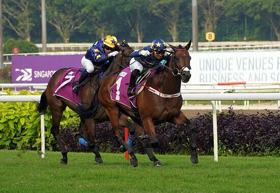 Lim's Kosciuszko proves too strong in the Raffles Cup. - Photo: STC