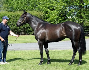 Bright future tipped for Trelawney grad