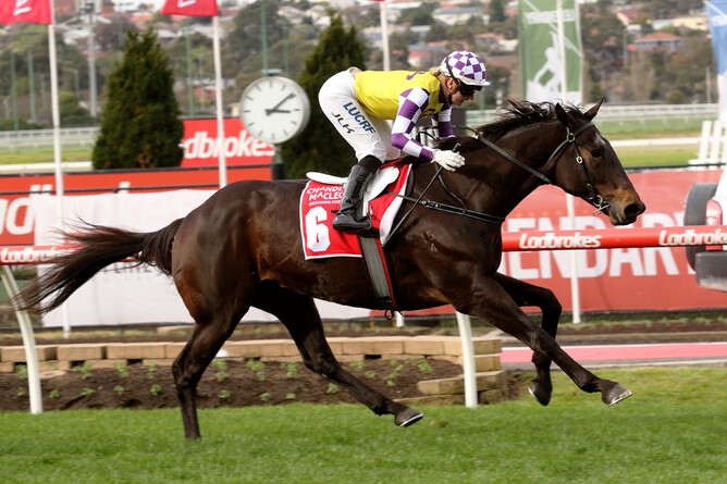 More Than Ever brought up a hat-trick of wins when successful at Moonee Valley on Saturday - Darryl Sherer