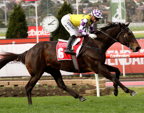 Moonee Valley win for More Than Ever