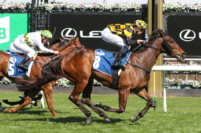 Excelida gains a deserved stakes race victory in Saturday’s Gr.2 Rose Of Kingston Stakes (1400m) at Flemington - Photo: Bruno Cannatelli