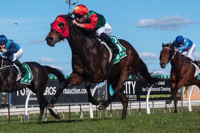 Zayydani pins her ears back as she races to the line to win at the Gold Coast. - Photo: Greg Irvine