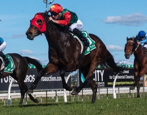 Queensland win for Zayydani