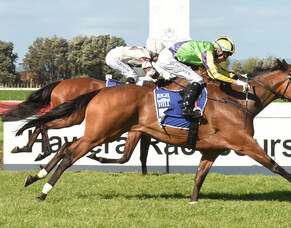 Australian option for Francaletta