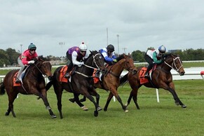 War Affair wins trial ahead of NZ G3 race second-up