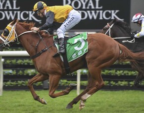 Trelawney grad facing G1 test