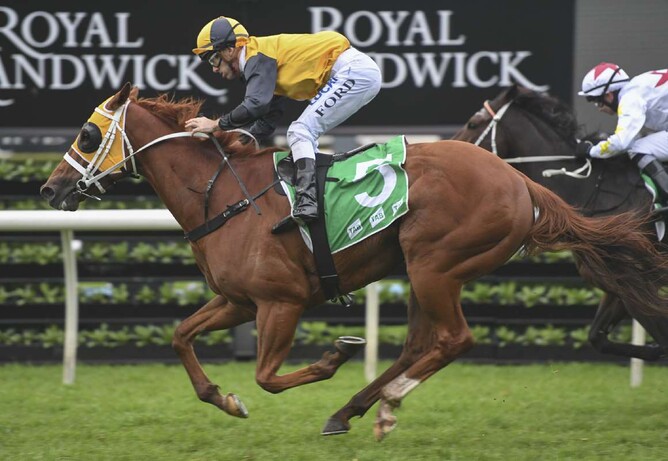 Star of the Seas steps up to Group One level on Saturday - bradleyphotos.com.au via NZ Racing Desk