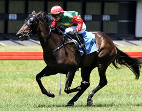 Decisive win by mare