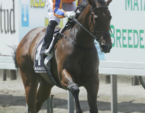 Opie&#039;s pick puts them to the sword