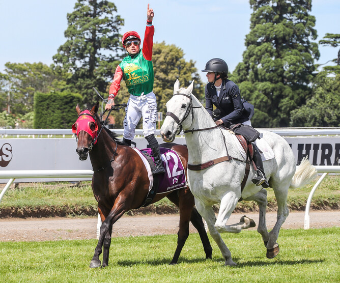 A delighted Michael McNab salutes after riding Loire to victory at Riccarton - Photo credit: Race Images South