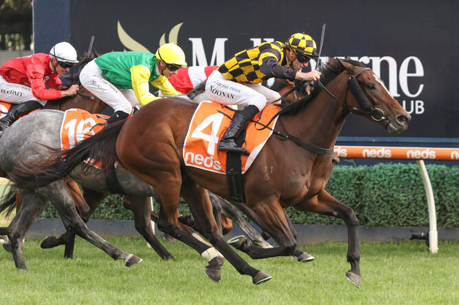 Jake Noonan drives Excelida to victory at Caulfield (Bruno Cannatelli)