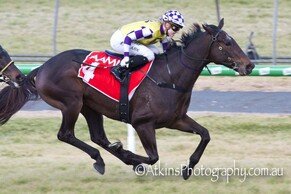 More Than Ever chasing third-straight win