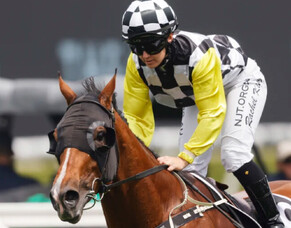 Purple Sector proves too strong at Randwick