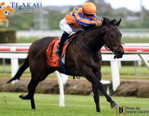 Te Rapa win for Challa