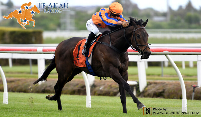 Challa on his way to winning at Te Rapa on Friday. Photo: Race Images/Te Akau Racing