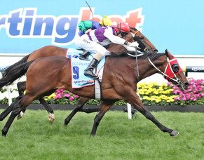 Trelawney represented at Inglis Ready To Race Sale