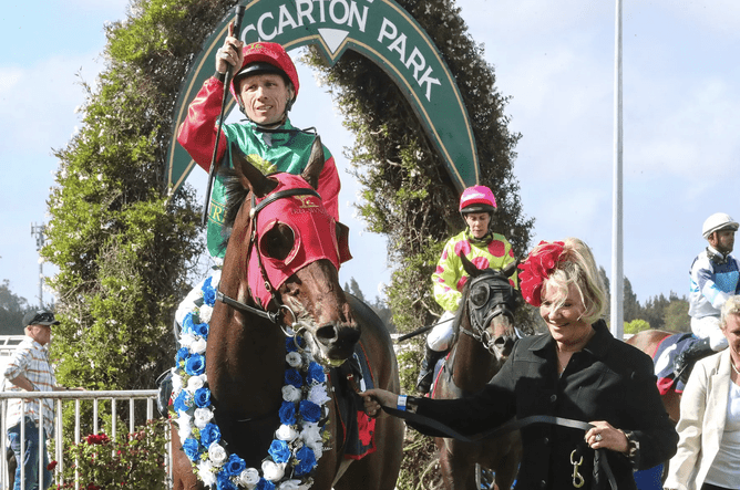 Acquarello upon winning the Group 3 Canterbury Breeders’ Stakes (1400m) at Riccarton on Wednesday. Photo: Ajay Berry (Race Images South)