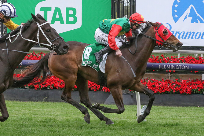 Zayydani will attempt to add another black-type win to her record on Satudray. - Photo: Bruno Cannatelli