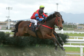 Shamal takes Waikato Steeplechase in nail-biting finish
