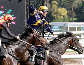 Grunt "perfect" in trial