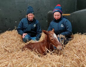 Blog Post- Hannah Airey