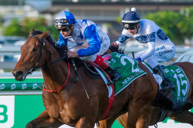 The Bostonian will return to New Zealand after suffering a fetlock injury. Photo: Sharon Lee Chapman