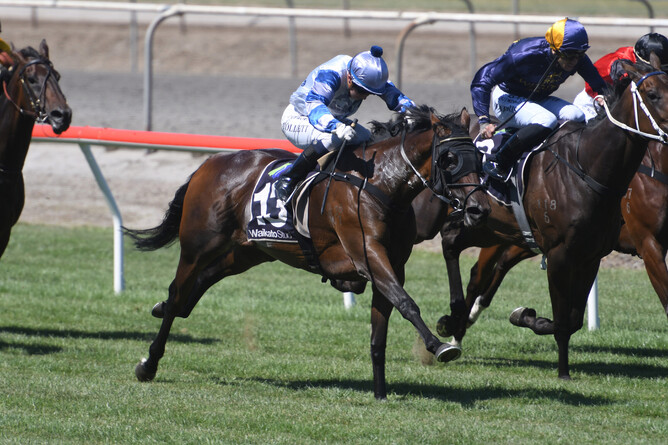 Aquaoir winning at Matamata last month. Photo: Race Images