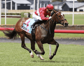 First Armory runner, a dominant winner