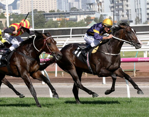 All-Star Mile set for extra Grunt