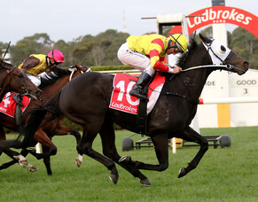 Trelawney graduate hot at Sandown