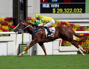 Sky Field readies for Group One test
