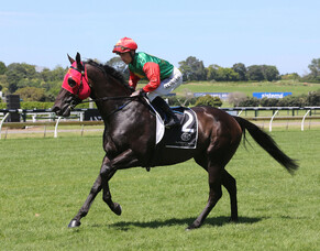 Home and away Group options for talented Pareanui Bay