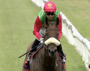 Miss Jones Unbeaten in NZ with Impressive Trentham Opener