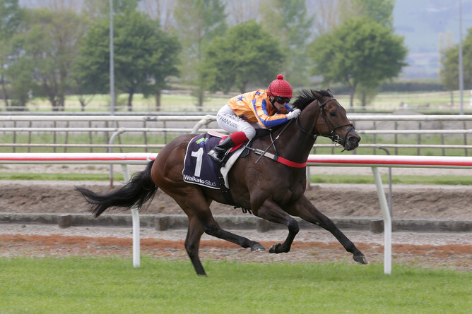 Challa in full flight on his way to winning at Matamata. - Photo: Trish Dunell