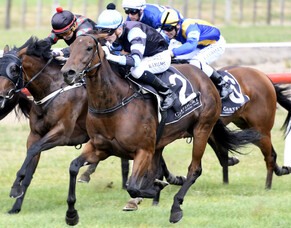 Course specialist salutes again at Tauranga