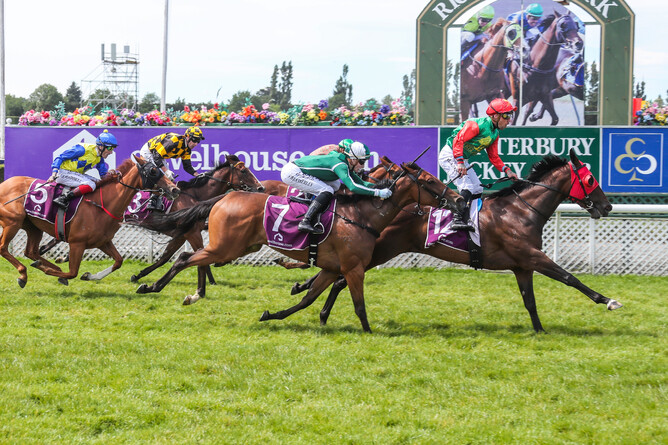 Michael McNab rises high to salute a victory aboard Loire at Riccarton. Photo credit: Race Images South