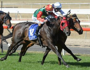 Zayydani ready to step up